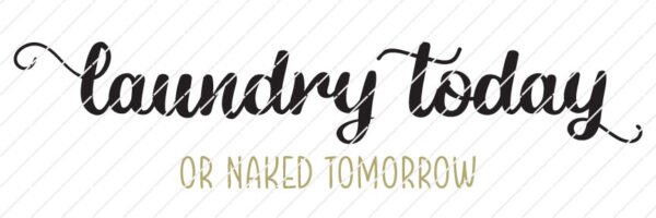 Laundry Today Or Naked Tomorrow SVG