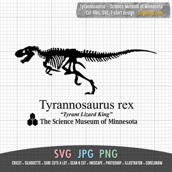 tyrannosaurus rex the tyrant lizard king science museum of minnesota stranger things